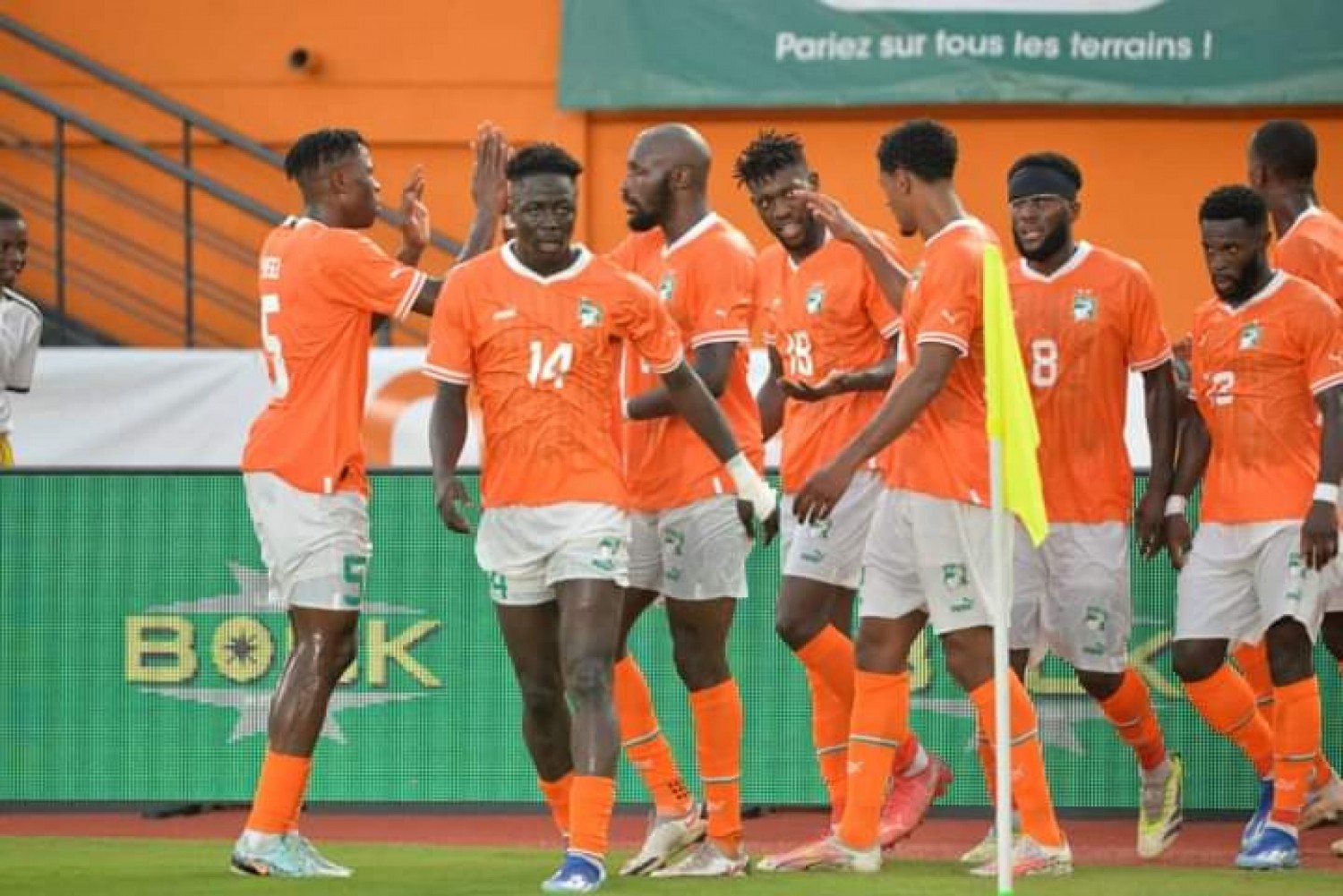 Côte d'Ivoire : Préparation de la CAN 2023, le Mozambique annule le match amical  contre les éléphants, la FIF à la recherche d'une autre équipe