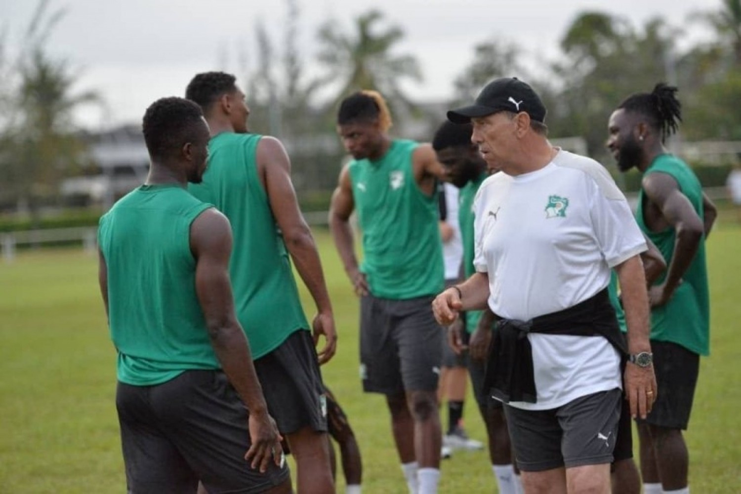 Côte  d'Ivoire : CAN 2023, Jean-Louis Gasset dévoilera  la liste des 27 joueurs retenus jeudi prochain