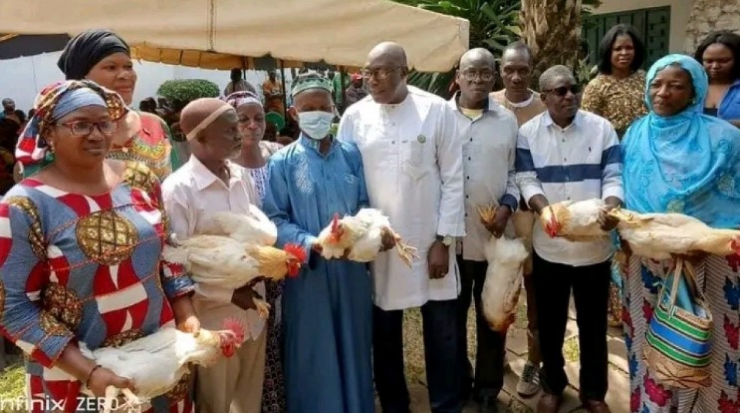 Côte d'Ivoire : Bouaké, des milliers de poulets offerts à la population pour des fêtes en joie