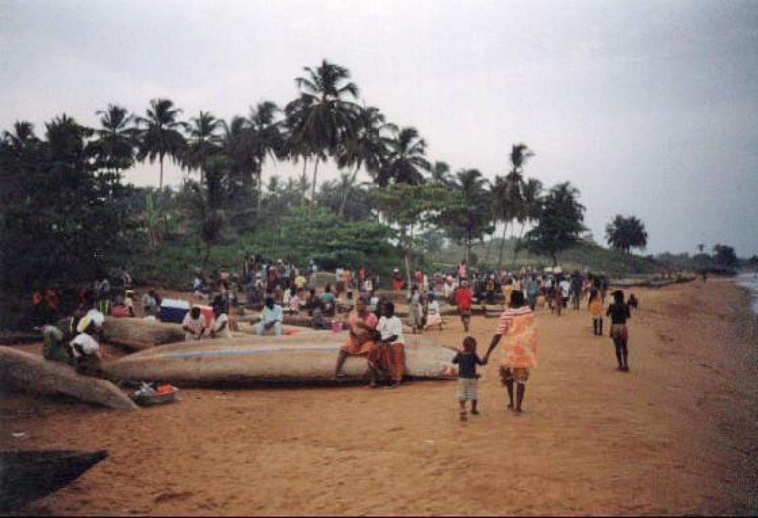 Côte d'Ivoire : Tragédie à Tabou, un jeune élève tué dans un champ d'hévéa, son agresseur lynché à mort