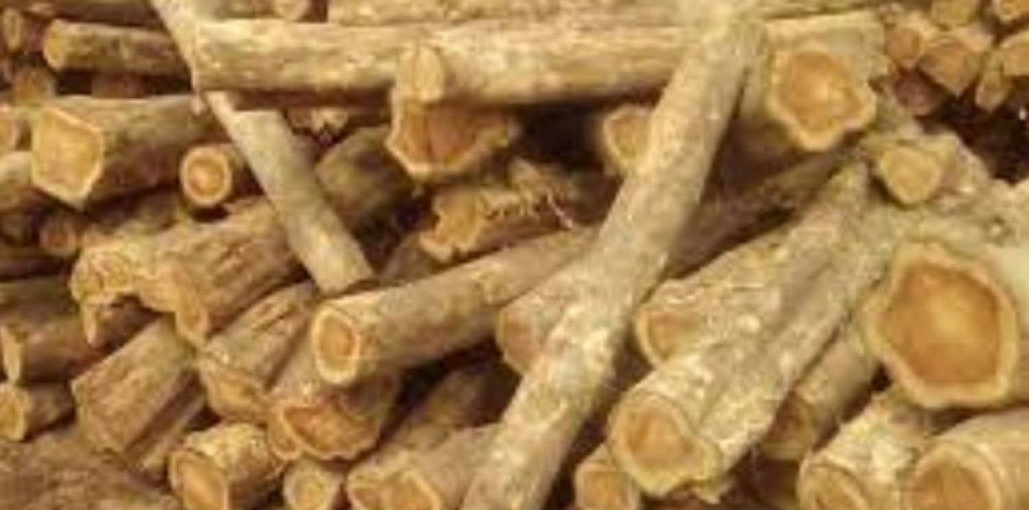 Côte d'Ivoire : Affaire de trafic des bois de Tecks, le lieu où se mènerait cette activité illicite