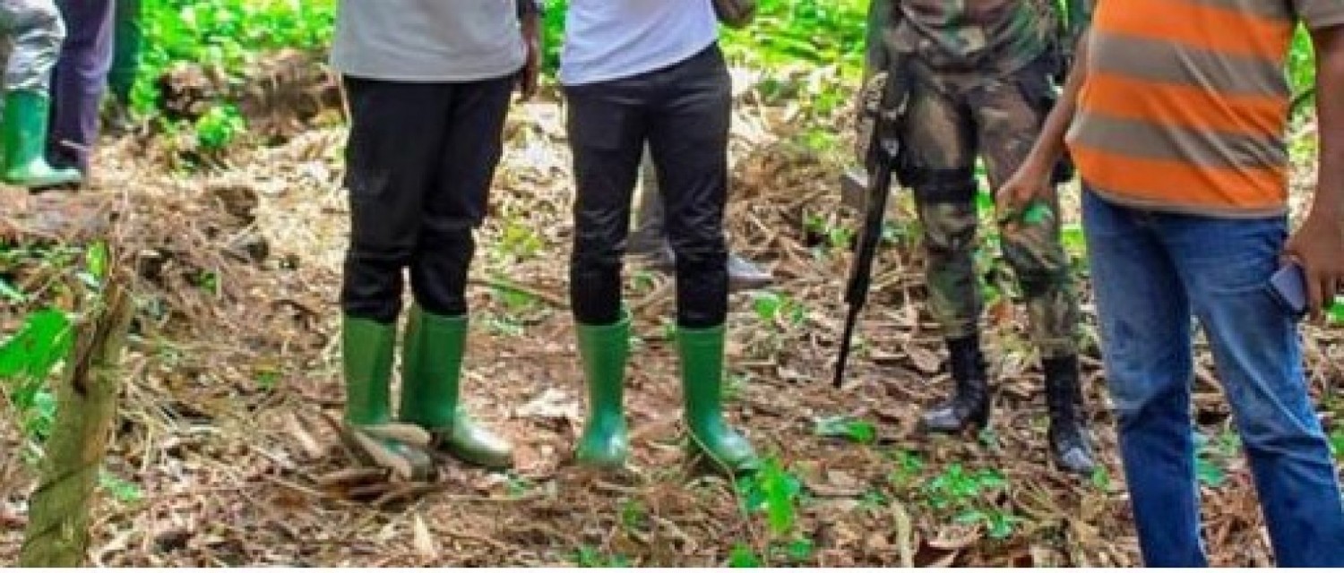 Côte d'Ivoire : Vol minier dans une forêt classée, armes de guerre saisies, 12 chinois et 10 ivoiriens déférés