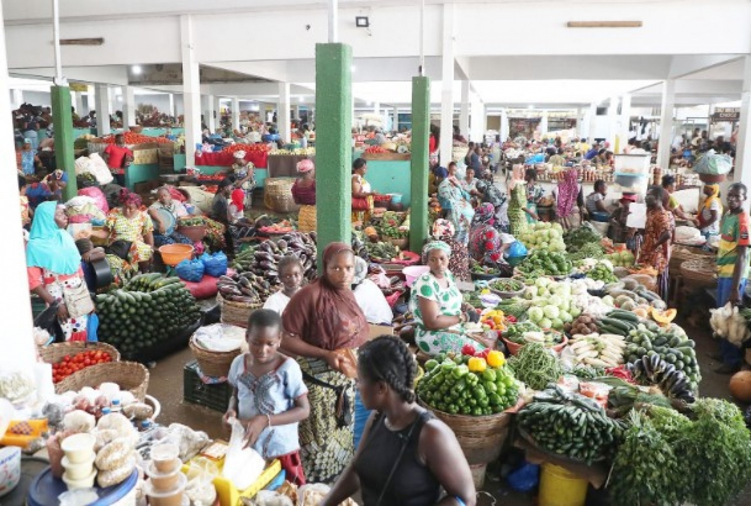 Côte d'Ivoire : Sécurité alimentaire, lancement officiel du Programme de Production d'Urgence (2PAU-CI)  vendredi à Gagnoa
