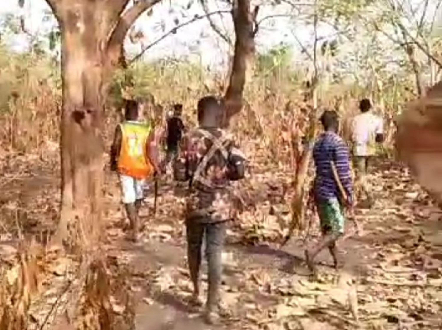 Côte d'Ivoire : Brobo, bras de fer entre le Maire et sa population, des jeunes opposés au lotissement des réserves administratives sur le pied de guerre