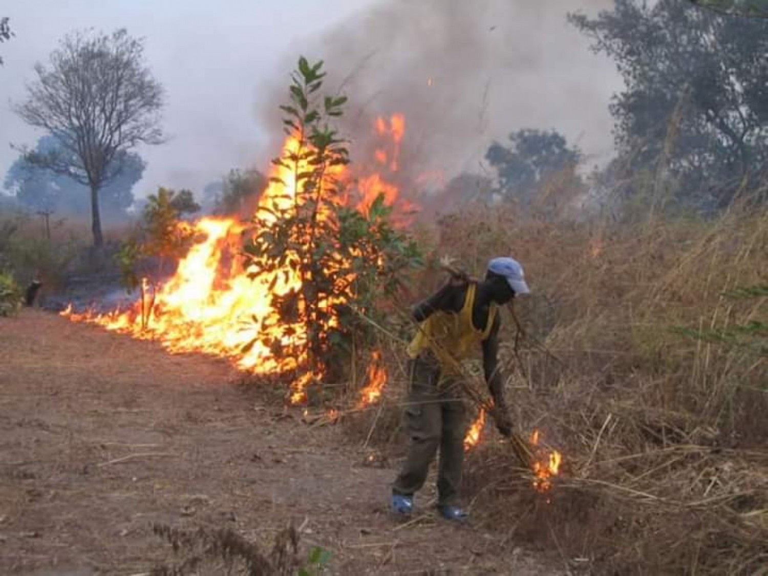 Côte d'Ivoire : Taabo, un cultivateur trouve la mort dans son champ suite à des feux de brousse incontrôlés