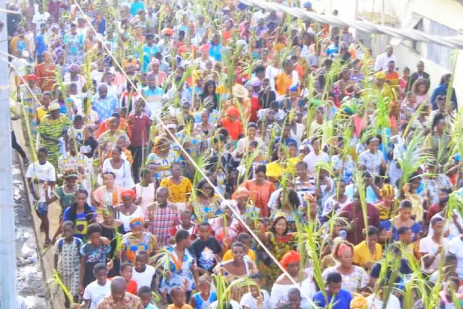 Côte d'Ivoire : Fête des rameaux, les chrétiens se remémorent l'entrée triomphale de Jésus à Jérusalem six jours avant sa passion