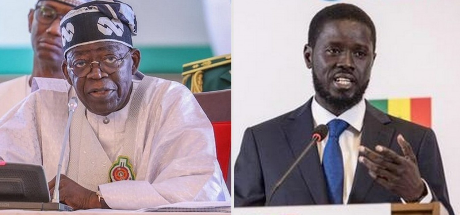 Nigeria-Sénégal : Tinubu félicite le Président élu, Diomaye Faye, avec le soutien de la CEDEAO