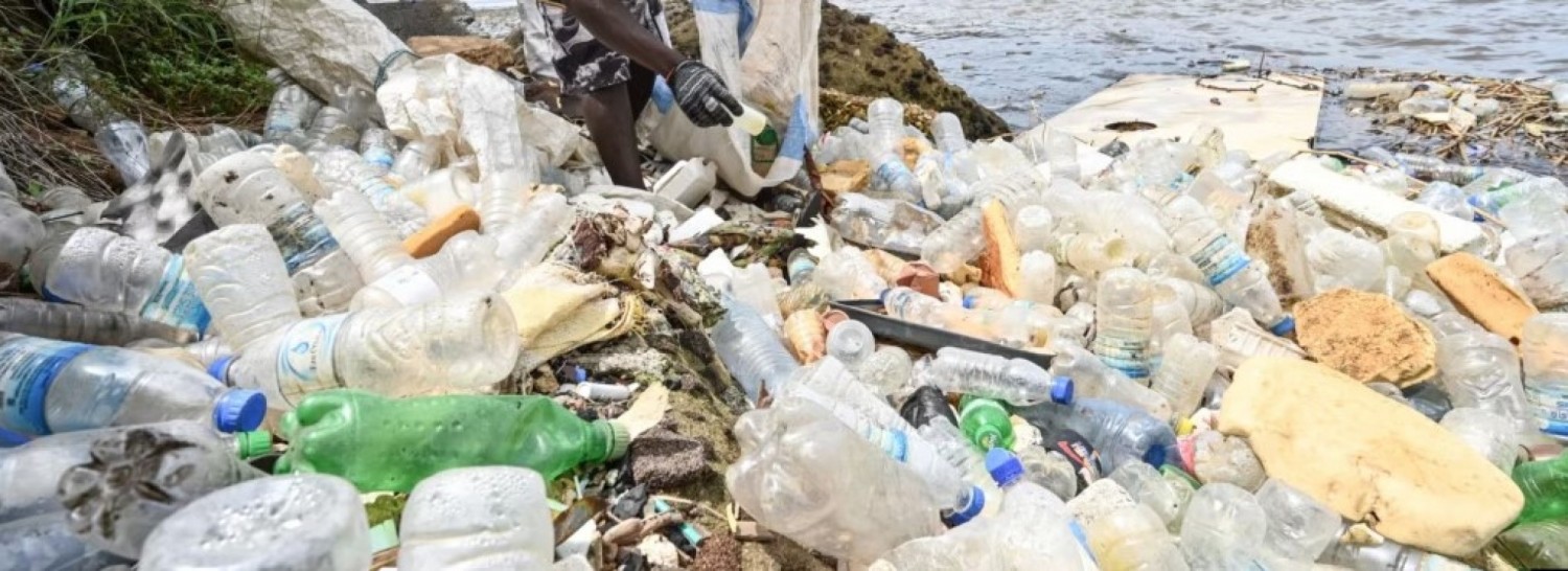 Côte d'Ivoire : Nouveau  code de l'environnement, vers la mise en place d'une police pour réprimer les contrevenants