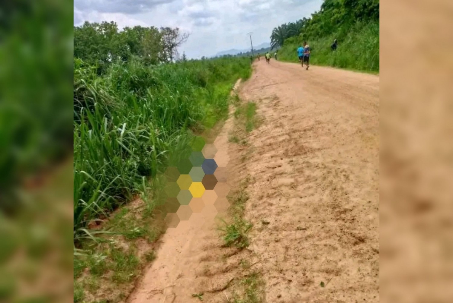 Côte d'Ivoire : Taabo, un orpailleur tué par une attaque d'abeilles