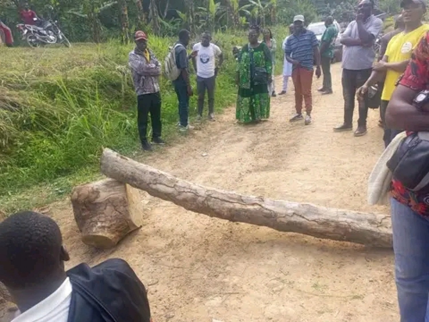 Cameroun : Un convoi d'opposants bloqué par les militants du Rdpc au Sud, région d'origine du président Biya