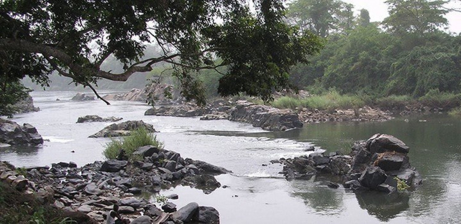Côte d'Ivoire : Hambol, un forestier de l'OPIR et un bouvier trouvent la mort par noyade, explications
