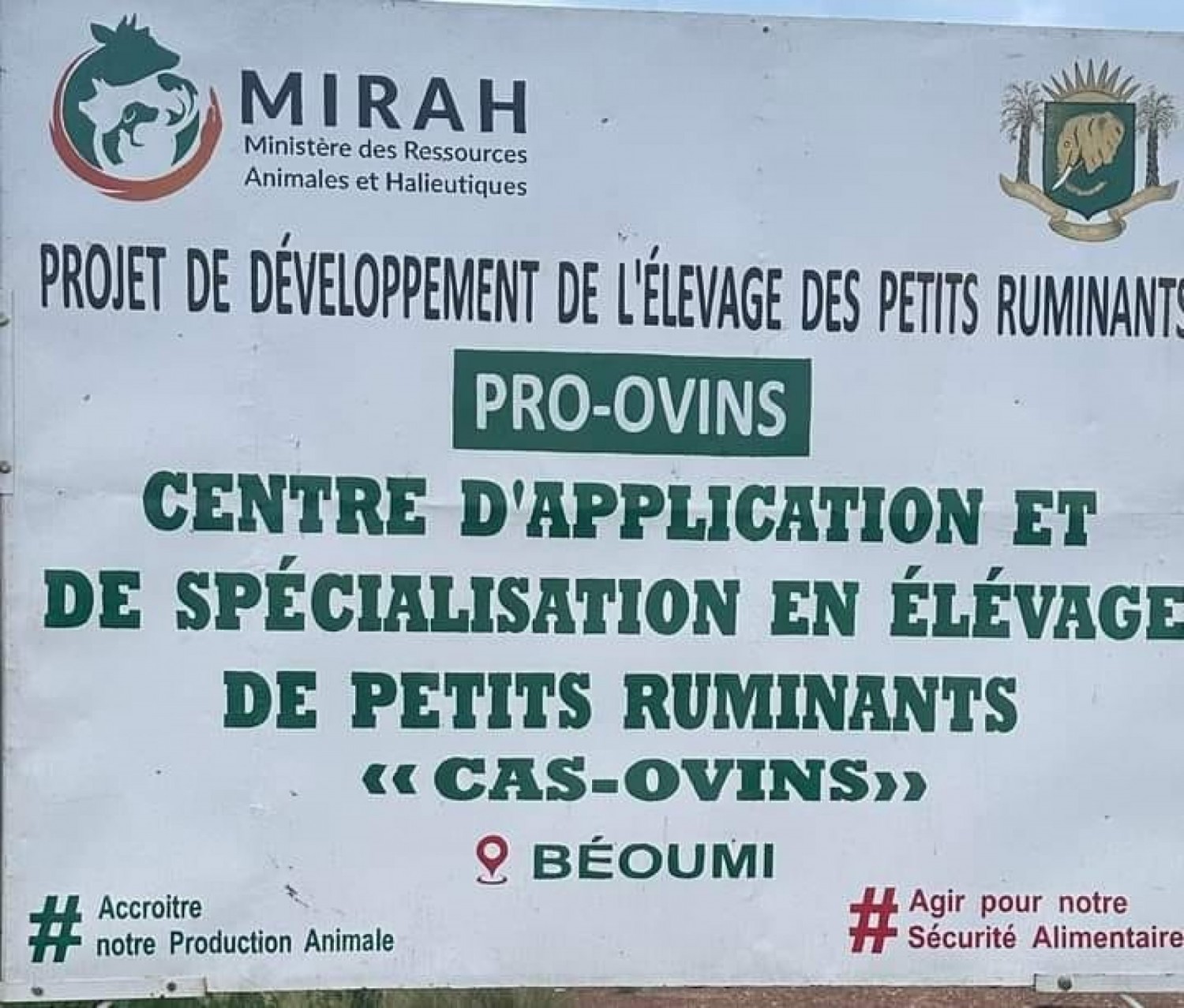 Côte d'Ivoire : Vidéo accusant Sidi Touré de s'être illégalement approprié le site abritant le Centre Ovin de Béoumi, le MIRAH dément formellement et menace…
