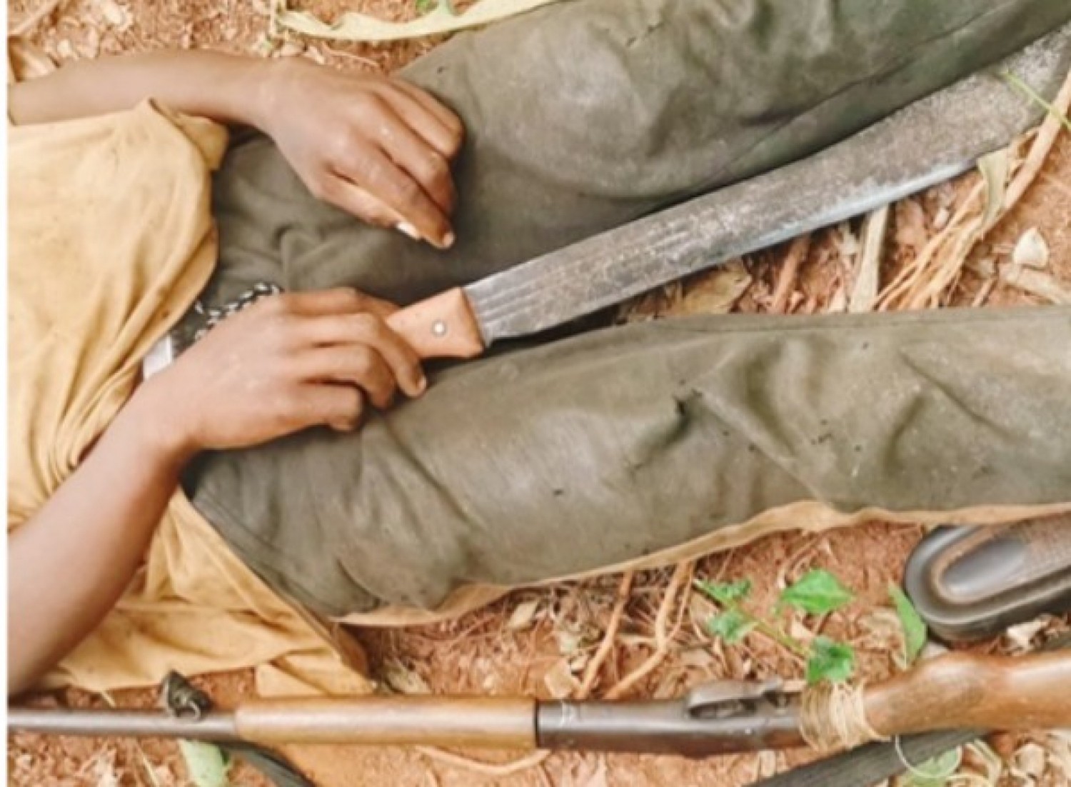 Côte d'Ivoire : « Accusé » d'avoir volé un porc, un jeune se donne la mort dans son champ