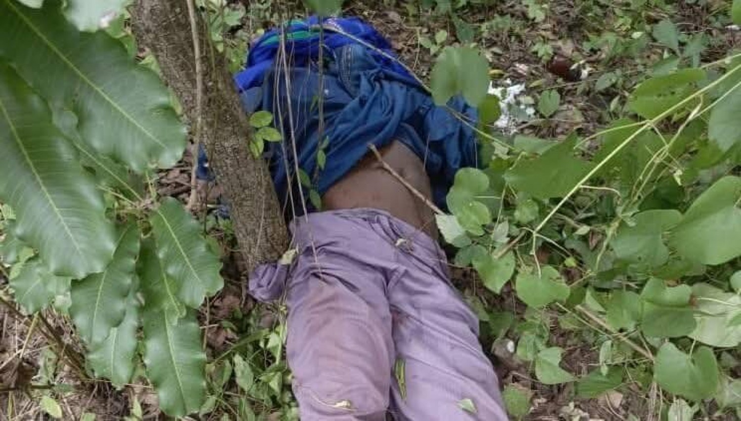 Côte d'Ivoire : Kanawolo, le corps sans vie d'un jeune découvert sur une piste