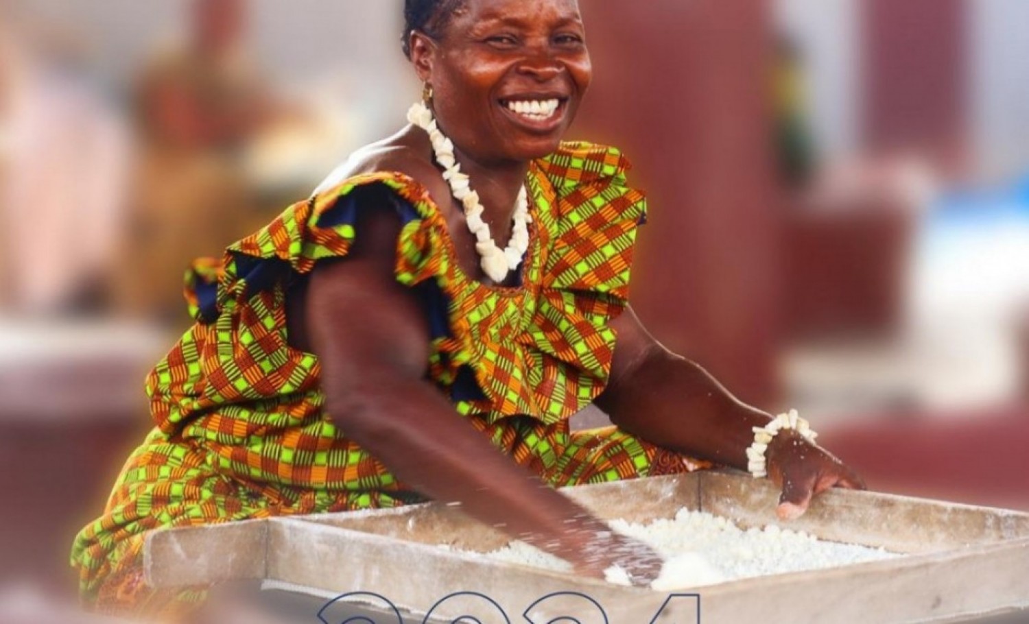 Côte d'Ivoire-ONU : 90 milliards de FCFA investis pour un avenir durable et inclusif dans plus d'une centaine de projets de développement