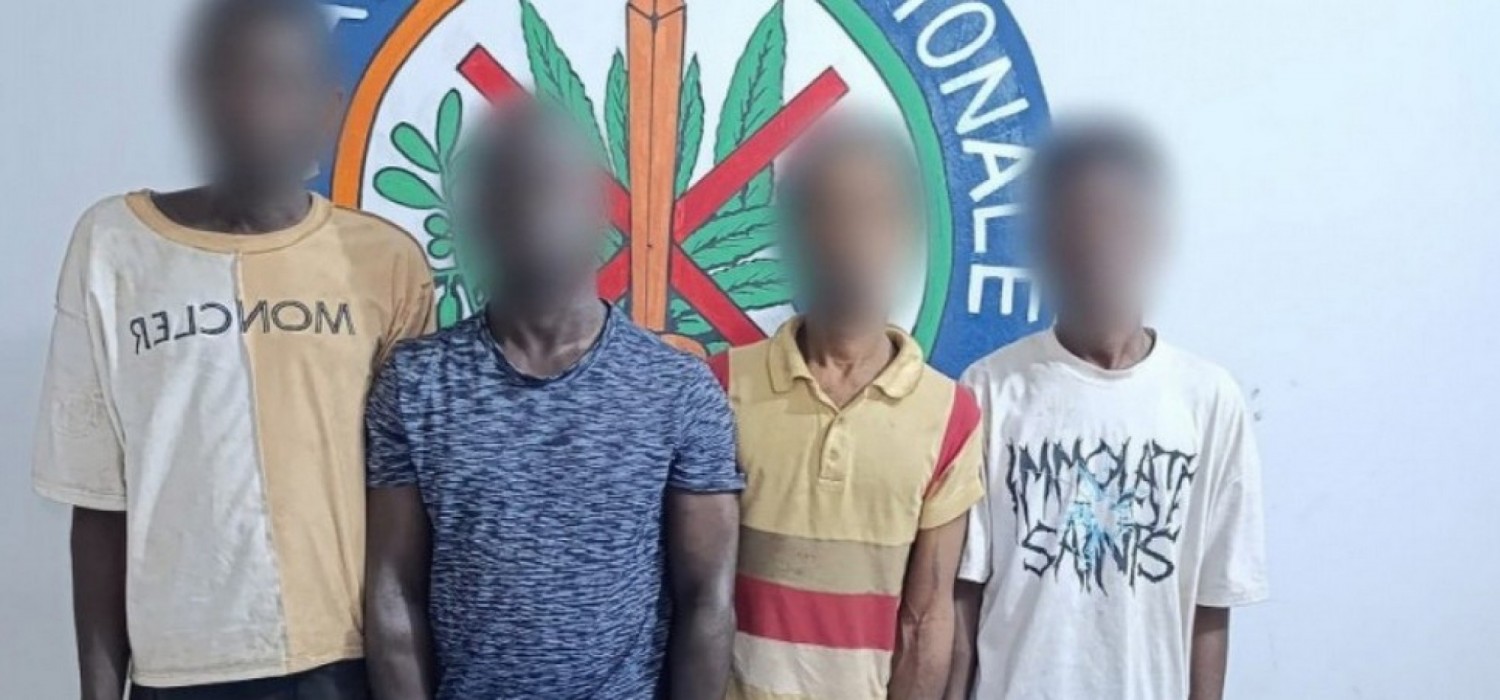 Côte d'Ivoire : Opération « Malinois » de la Gendarmerie, quatre individus présumés dealers interpellés