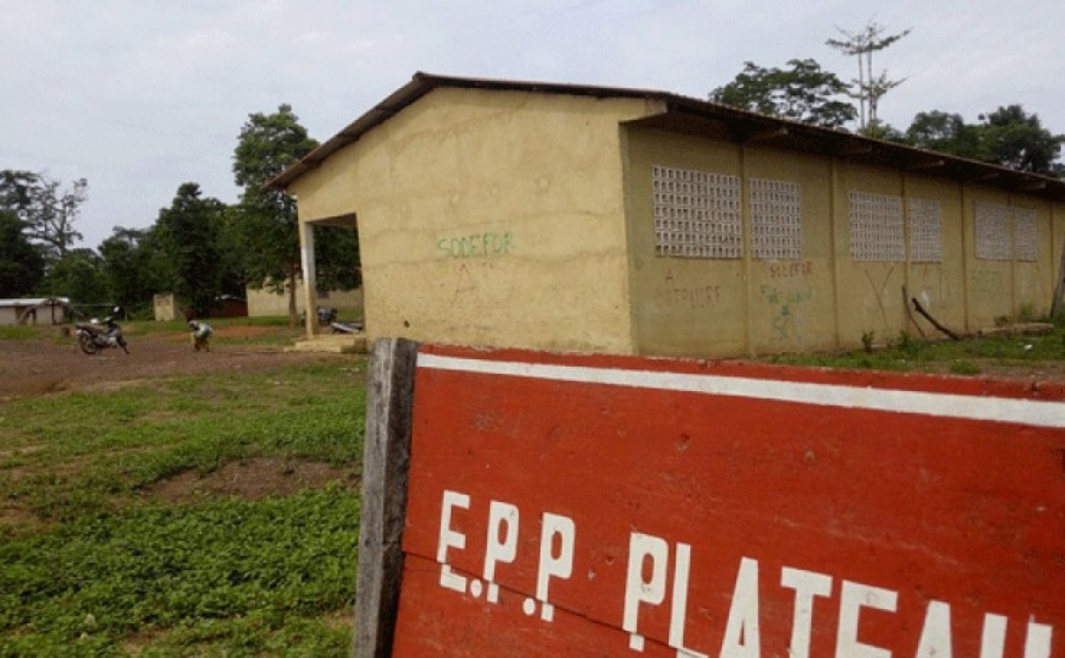 Côte d'Ivoire : Forêt classée de Scio à Bloléquin, l'Etat dans un dilemme entre expulsé les occupants où opter pour le reboisement en les associant au projet