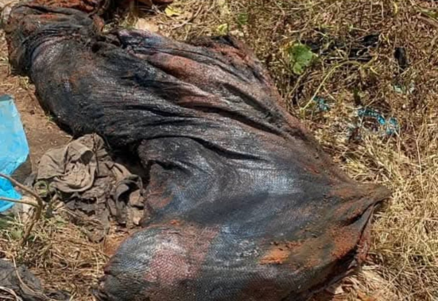 Côte d'Ivoire : Man, jaloux, il tue son ami et jette son corps dans une fosse septique