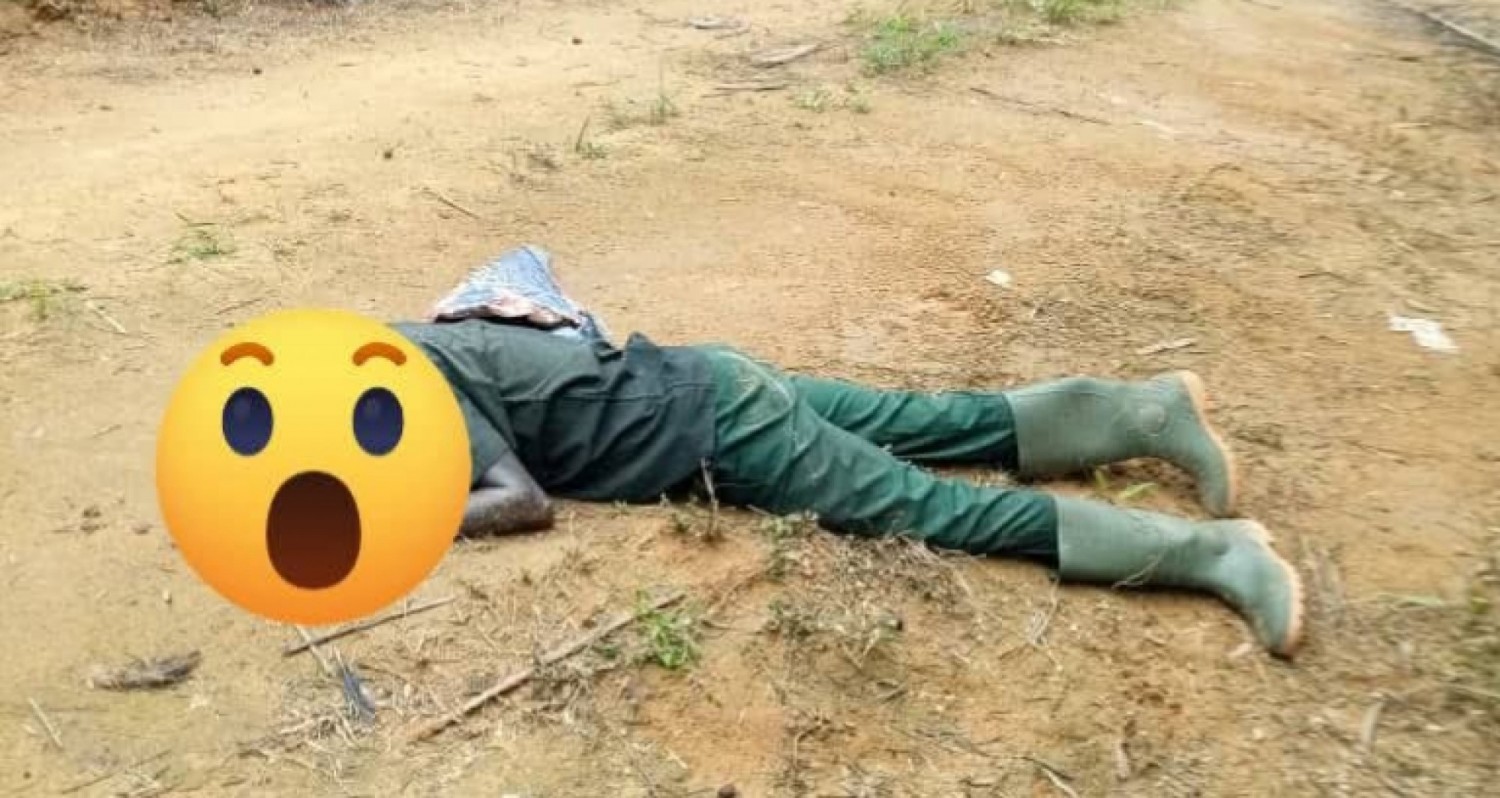 Côte d'Ivoire : Découverte tragique à Ehania (Aboisso), un corps retrouvé sans vie dans les champs de palmier