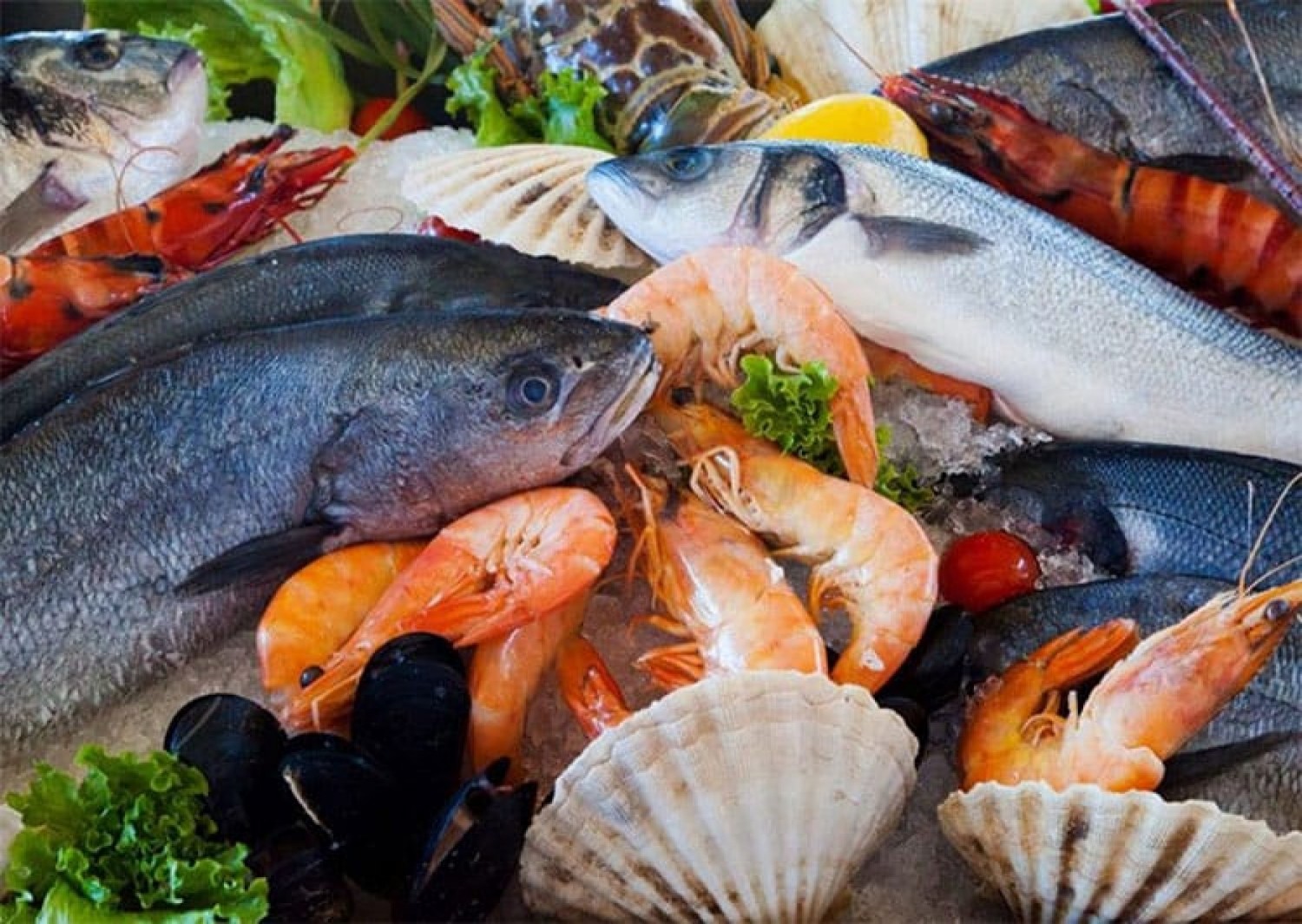 Côte d'Ivoire : Coopération économique Sud-Sud, le VWF jette le pont des affaires entre le Vietnam et les pays de la CEDEAO