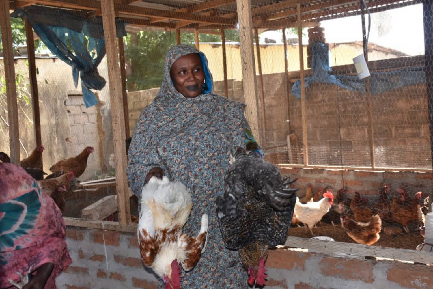 Cameroun : Un an après les inondations dans l'Extrême-Nord, la résilience des communautés au cœur de la reconstruction