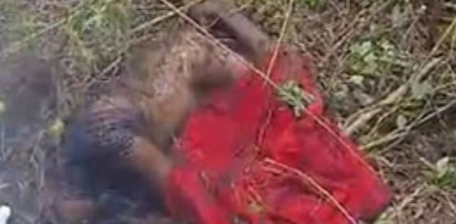 Côte d'Ivoire : Facobly, meurtre brutal, une veuve de quarante ans retrouvée mutilée en forêt