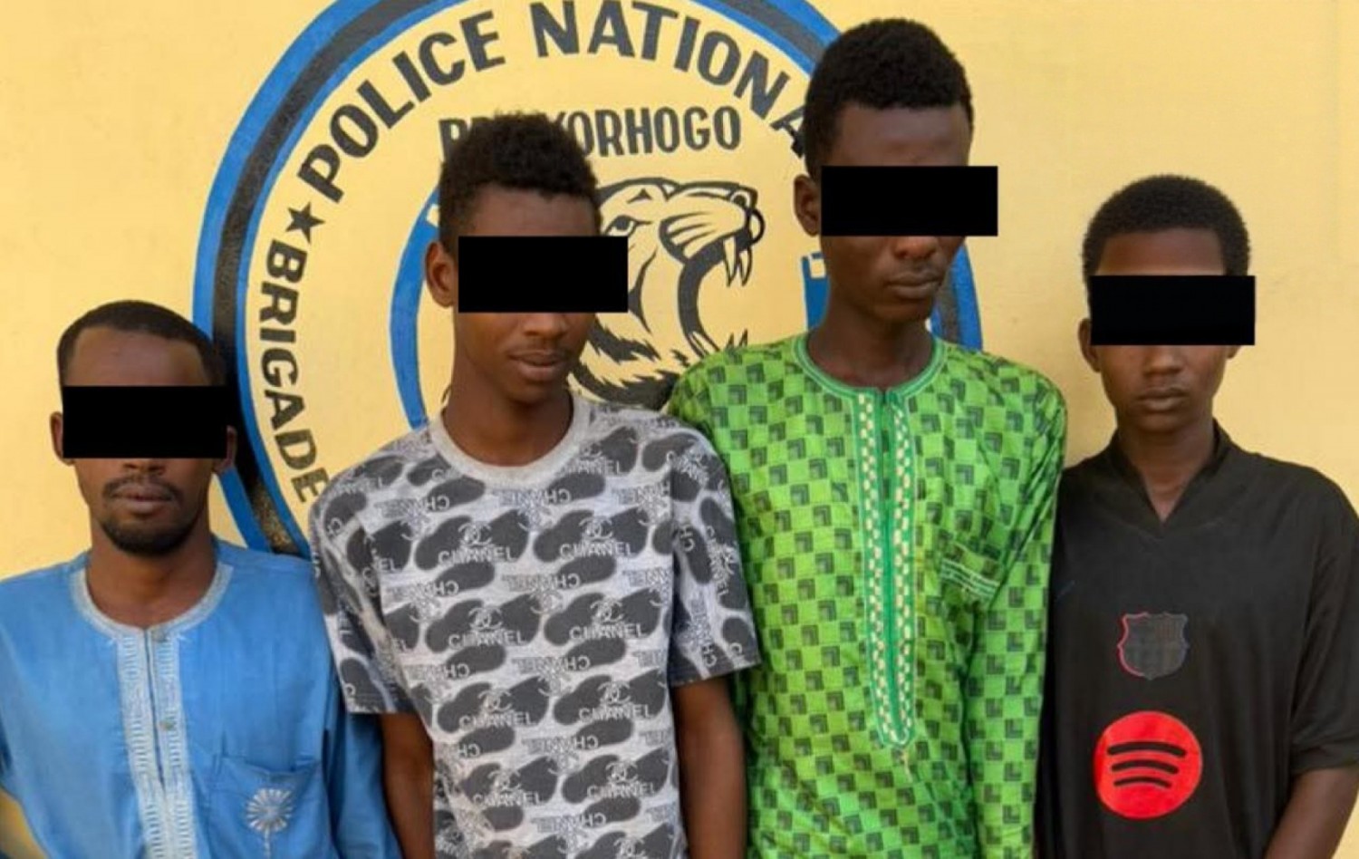 Côte d'Ivoire : Quatre individus arrêtés pour vol présumé de bétail à Madoukaha, fin d'une escapade nocturne