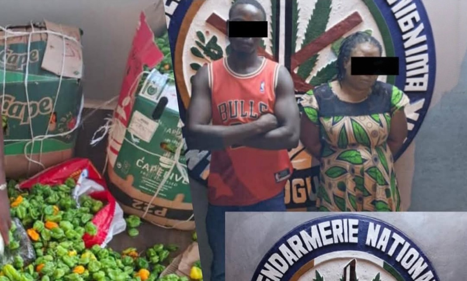 Côte d'Ivoire : Saisie d'une importante quantité de Tramadol dans un car à Bouaké