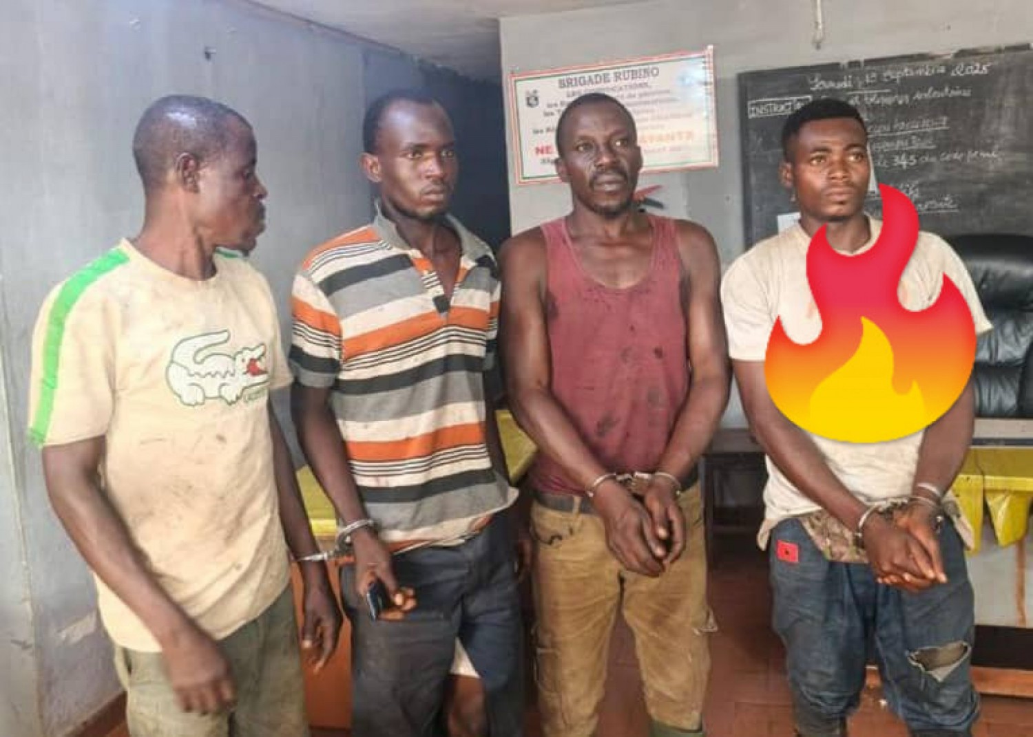 Côte d'Ivoire : Forêt classée de Yapo-Abbé, 04  individus en flagrant délit de défrichement interpellés et déférés au parquet d'Agboville