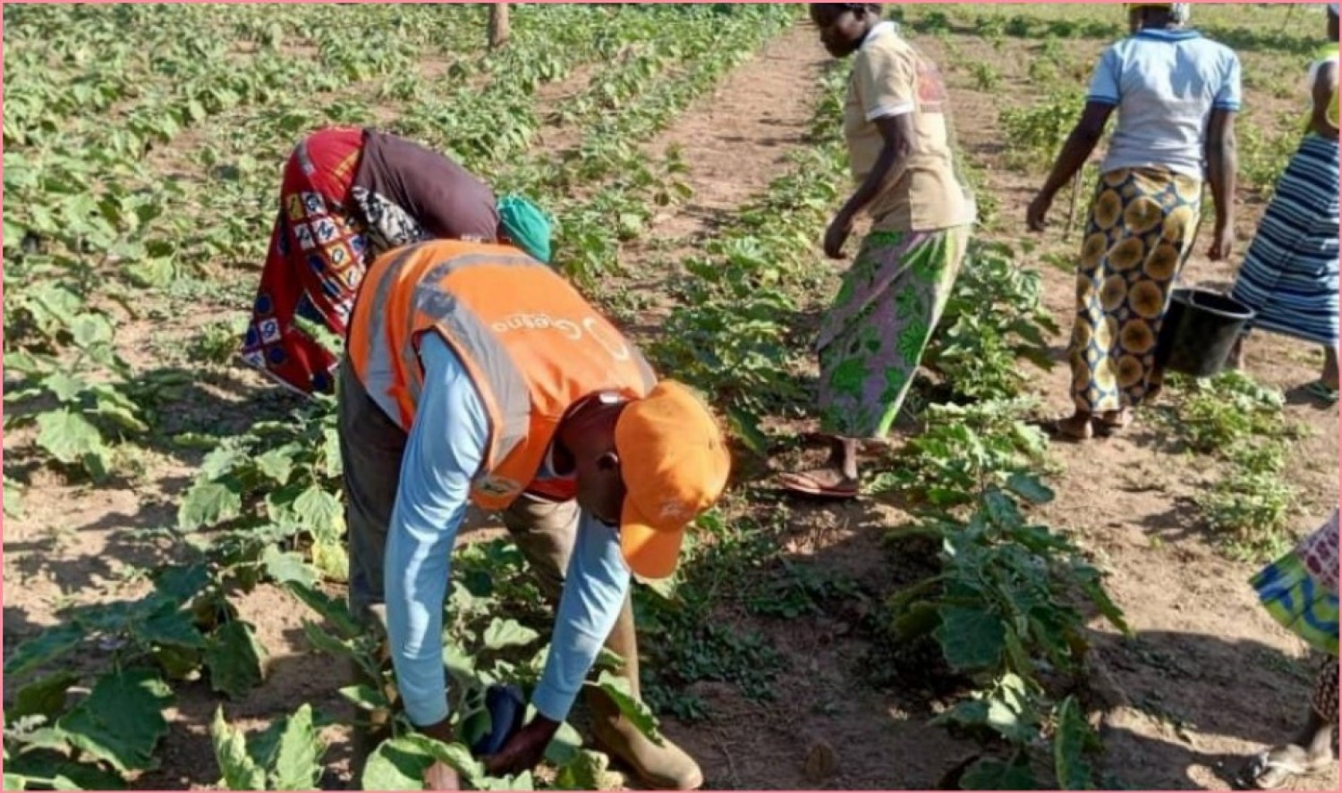 Côte d'Ivoire : Emploi, jeunesse et inclusion des femmes, le projet COSO, un bouclier contre le chômage et la vulnérabilité dans le Nord ivoirien