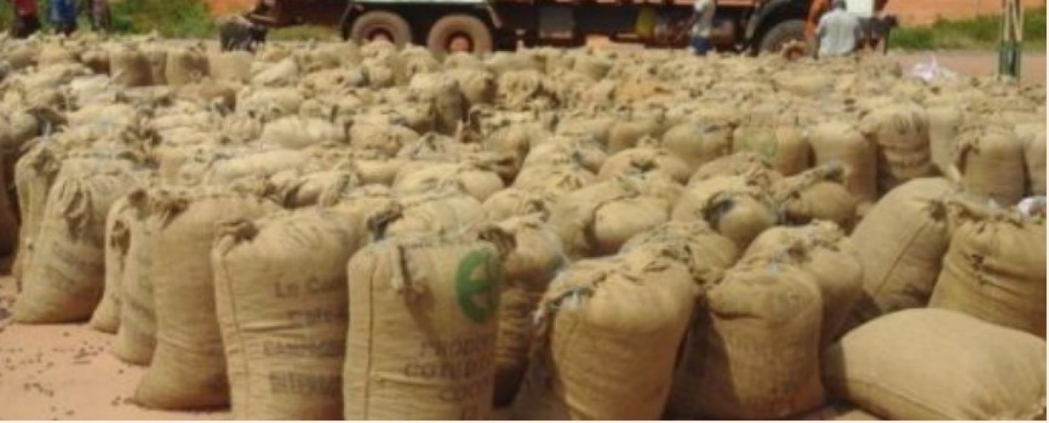 Côte d'Ivoire : Insécurité à Issia, 73 millions FCFA  emportés au domicile d'un acheteur de produits agricoles