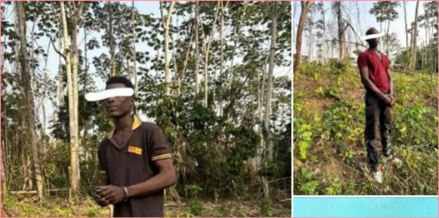 Côte d'Ivoire : Trois individus pris en flagrant délit de destruction d'une forêt classée