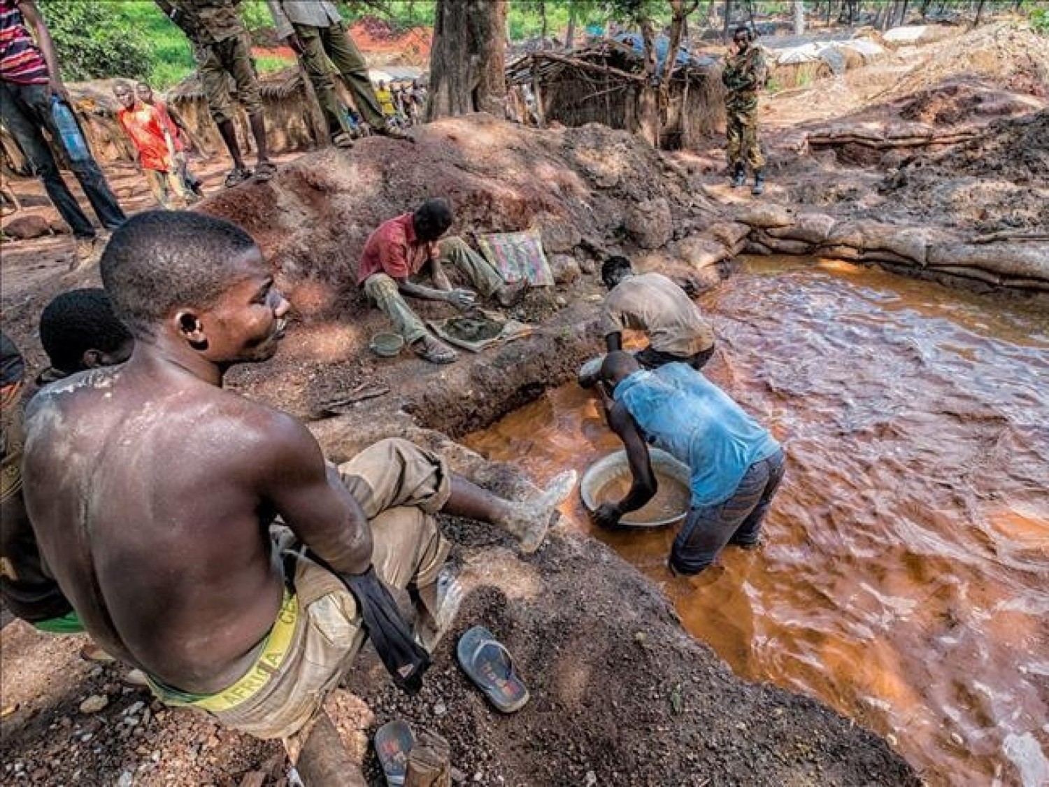 Côte d'Ivoire : Orpaillage illégal, 56 individus  devant le tribunal ce vendredi