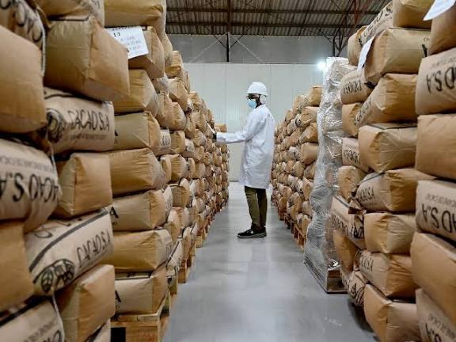 Côte d'Ivoire : Cacao, le déblocage tant attendu redonne le sourire et l'espoir aux producteurs du centre-ouest ivoirien