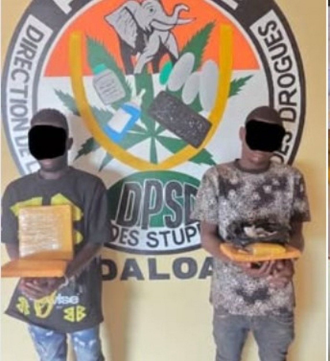 Côte d'Ivoire : Lutte contre le trafic des Stupéfiants et Drogues, deux individus interpellés à Issia