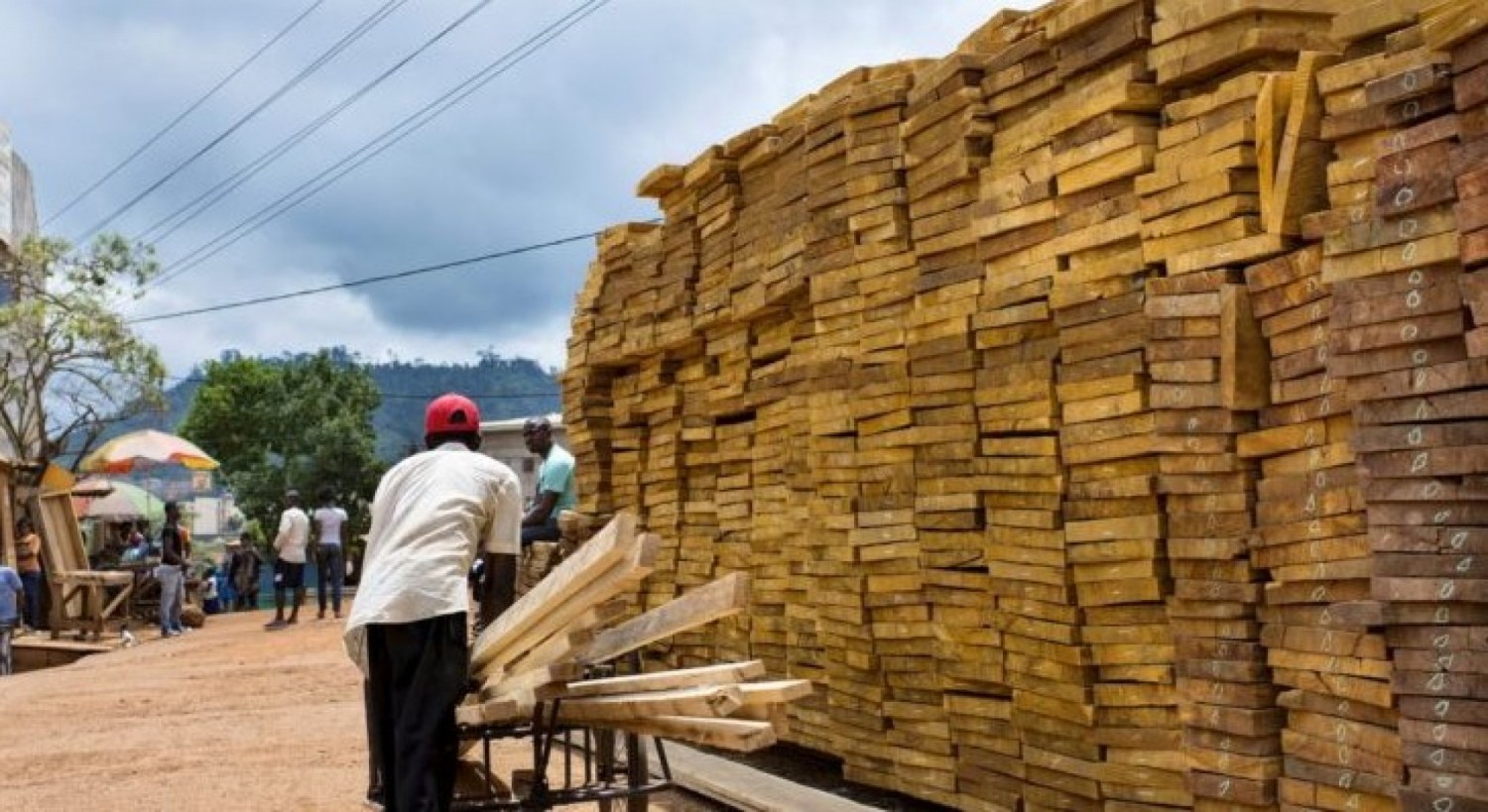 Côte d'Ivoire : Filière bois, une nouvelle mesure pour  la gestion transparente des activités forestières