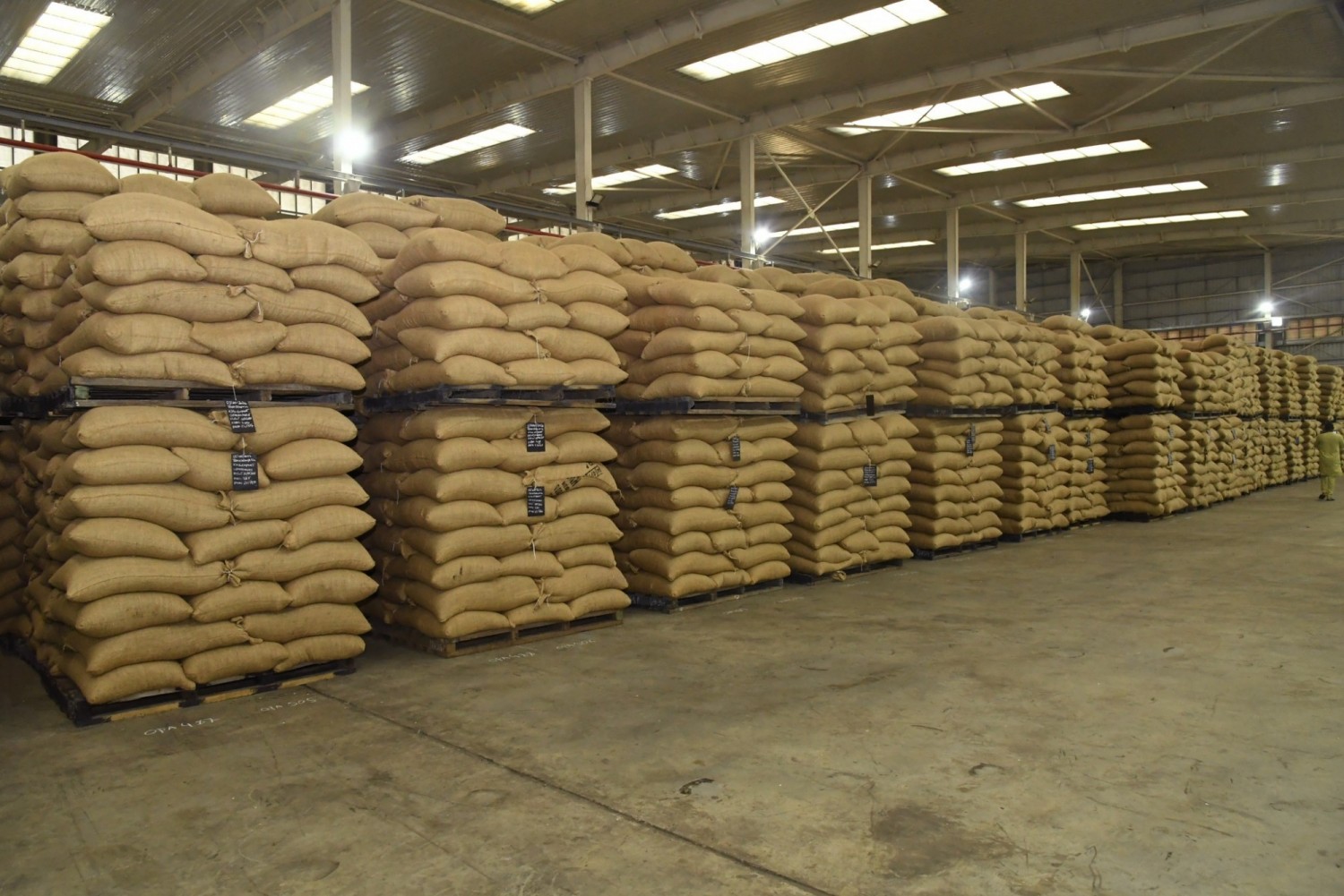 Côte d'Ivoire : Opération d'achat des stocks de Cacao,  le Conseil et l'OIA Café-Cacao s'accordent pour accélérer le processus