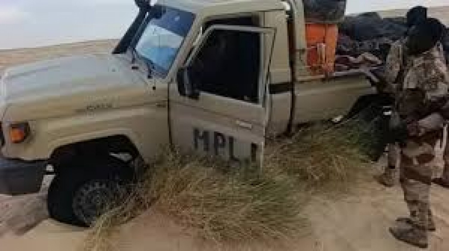 Niger : L'armée repousse une attaque contre un site pétrolier près de la frontière tchadienne