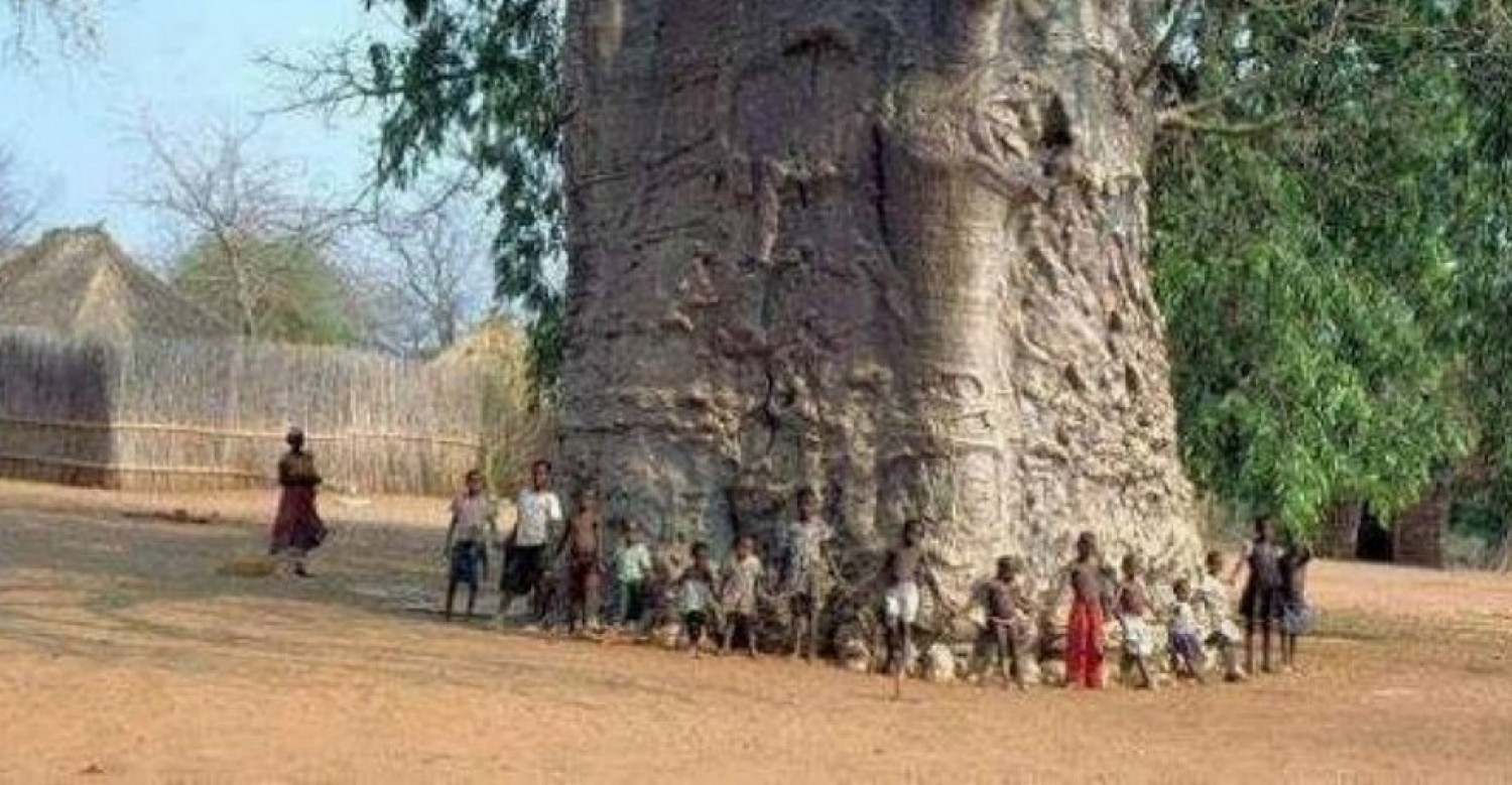 Côte d'Ivoire : Gestion durable des conflits socio-politiques, les autorités face au défi de la réinvention de l'arbre à palabre à l'ère des institutions fortes