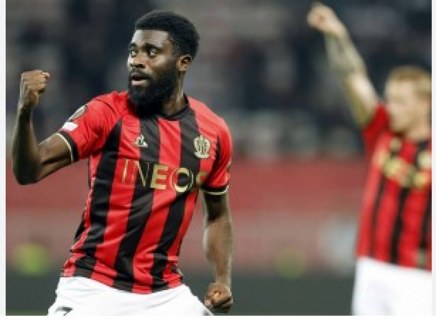 Côte d'Ivoire : L'éléphant Boga raconte son calvaire  à Nice : « J'ai perdu quelques kilos car je ne mangeais pas beaucoup »