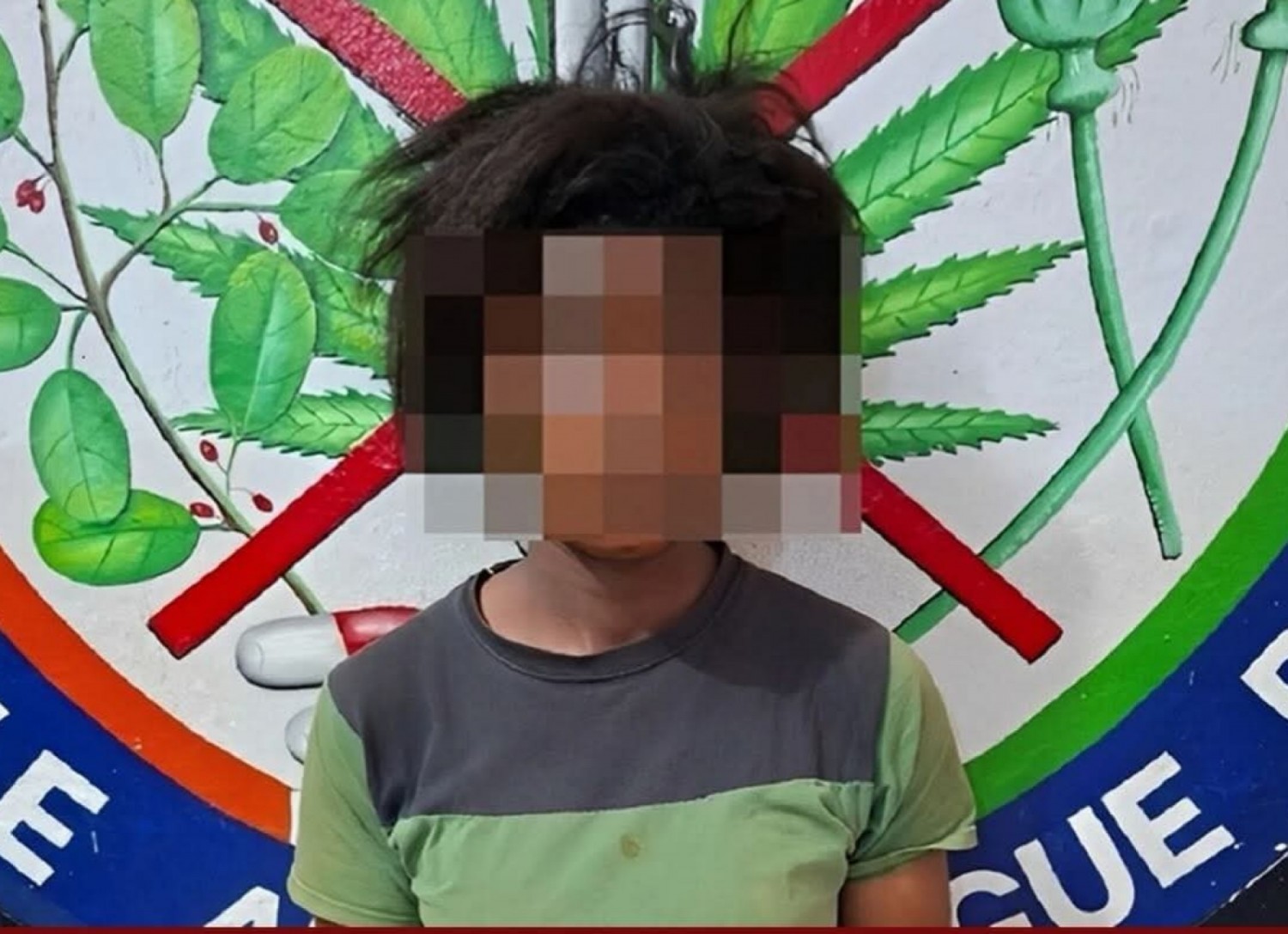 Côte d'Ivoire : Facobly, trafic de stupéfiants, une opération sous couverture mène à l'arrestation d'une cultivatrice