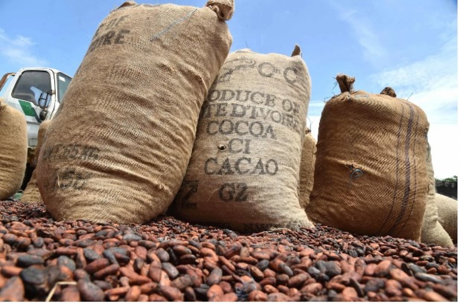 Côte d'Ivoire-Brésil : Brasilia a-t-il suspendu les achats de fèves et produits à base de cacao en provenance d'Abidjan ?