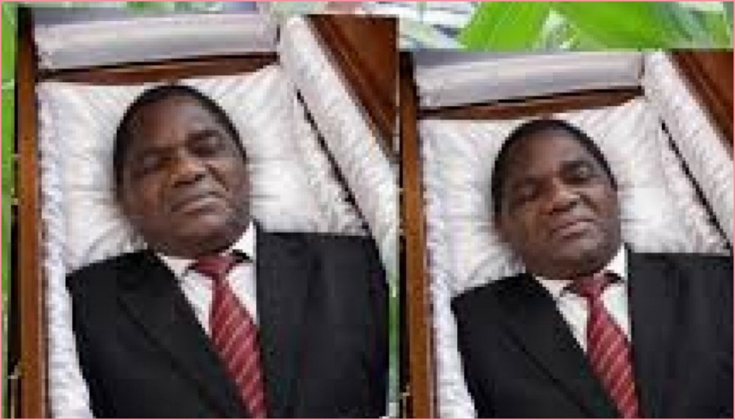 Zambie : Un opposant arrêté après la publication d'une caricature du président Hichilema