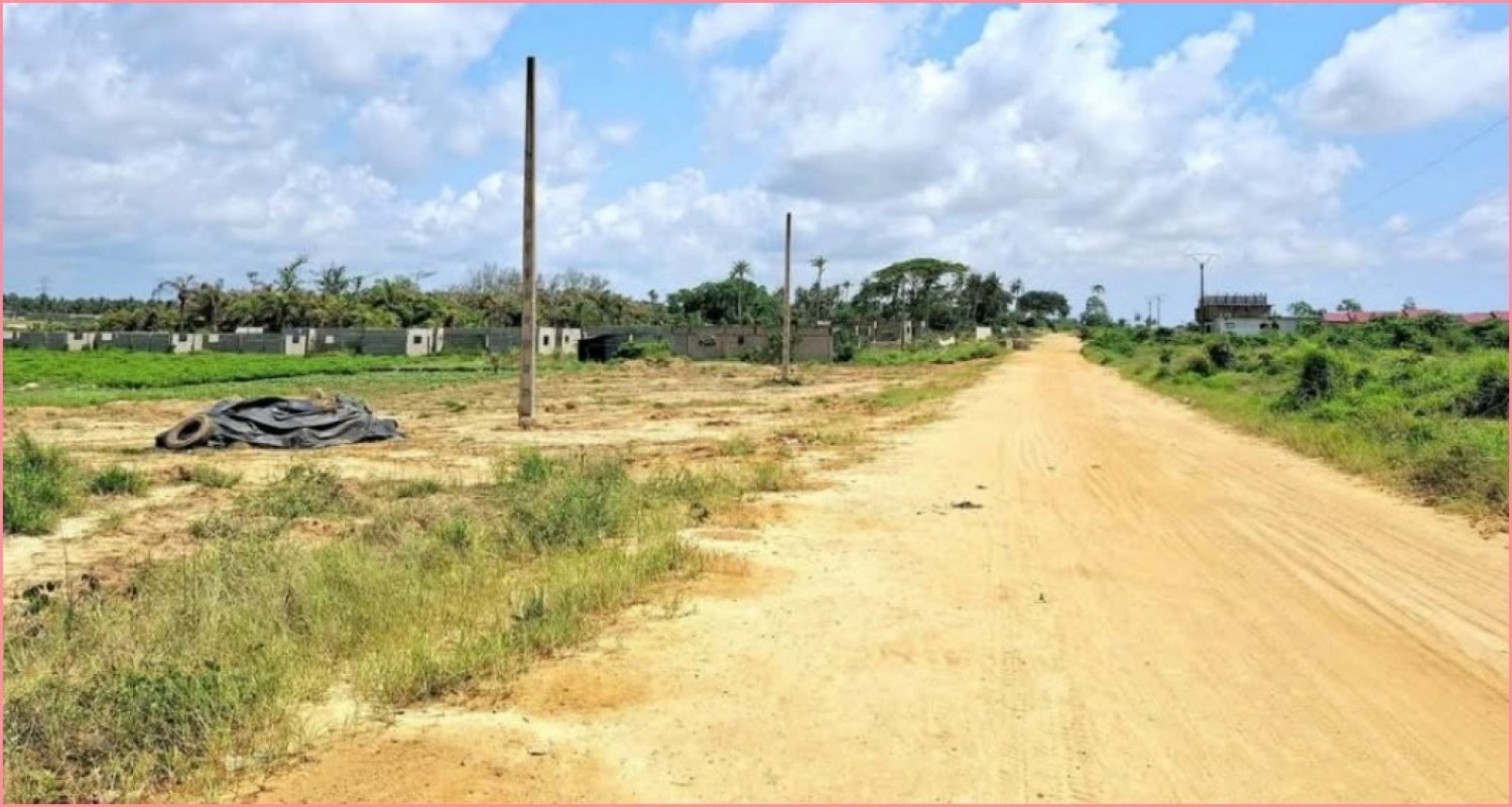 Côte d'Ivoire : Lotissement Vitré 2 Résidentiel (Grand-Bassam), la Génération Blossooué dénonce une usurpation de titre et apporte des clarifications sur la situation foncière
