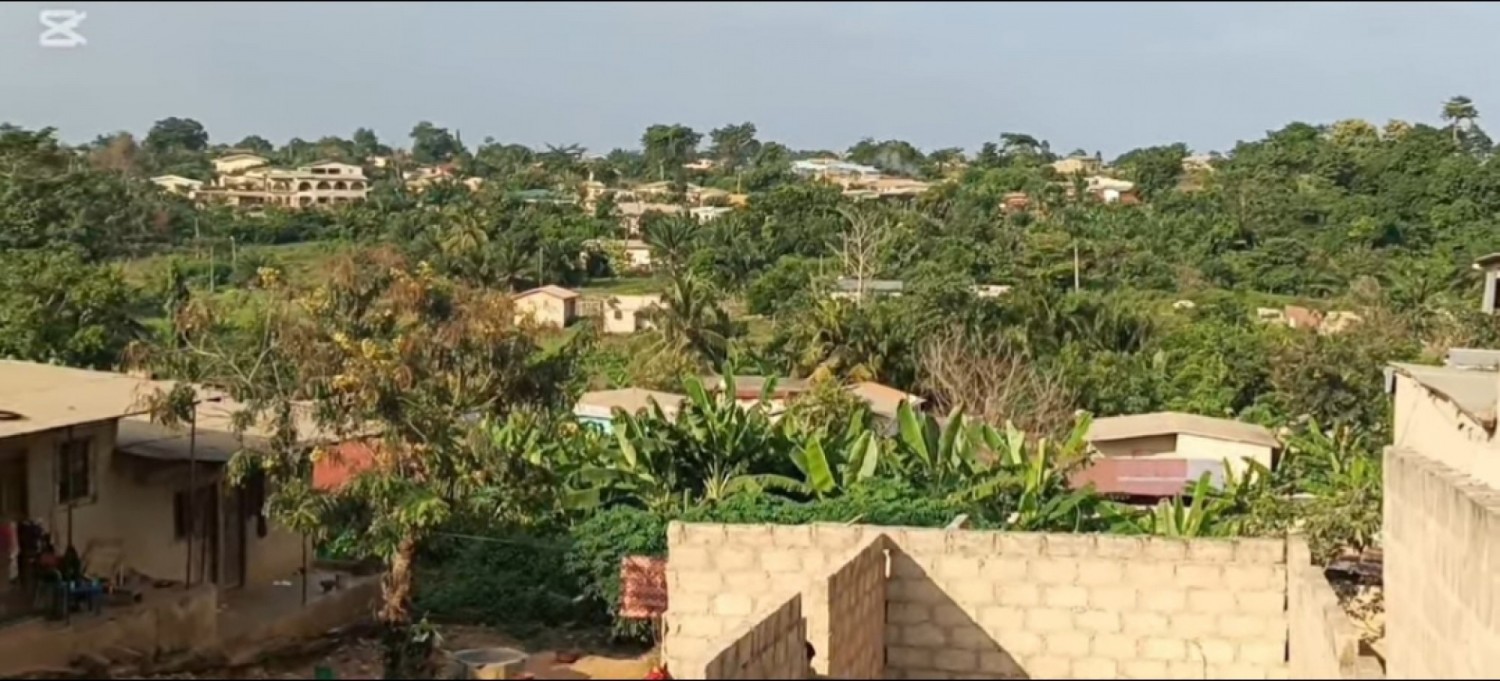 Côte d'Ivoire : Drame à Kabrankro, un chasseur d'une cinquantaine meurt enseveli après l'effondrement d'une termitière en feu