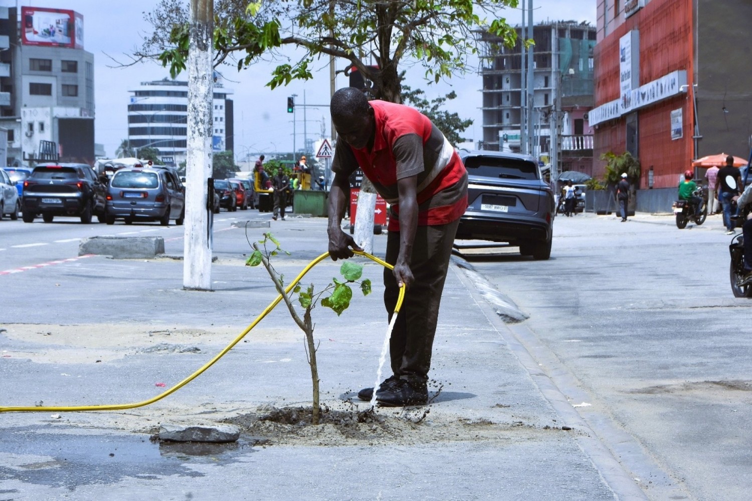 Côte d'Ivoire : Aménagement urbain, le Boulevard Félix Houphouët Boigny en voie de verdissement