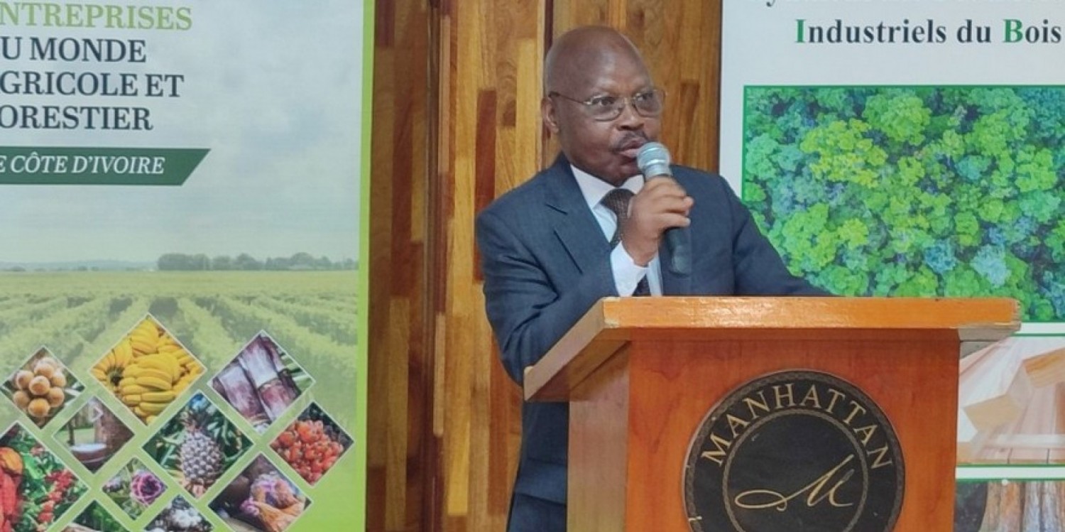 Côte d'Ivoire : Face au phénomène de la déforestation, les acteurs des secteurs agricoles et forestiers forment un front commun pour changer la donne