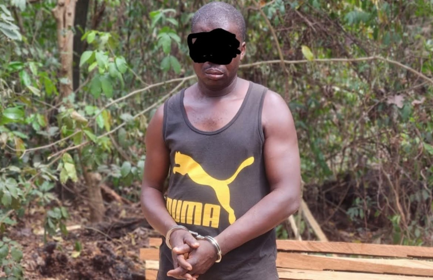 Côte d'Ivoire : Bandama Blanc, un suspect arrêté dans une opération contre l'exploitation illégale de la forêt