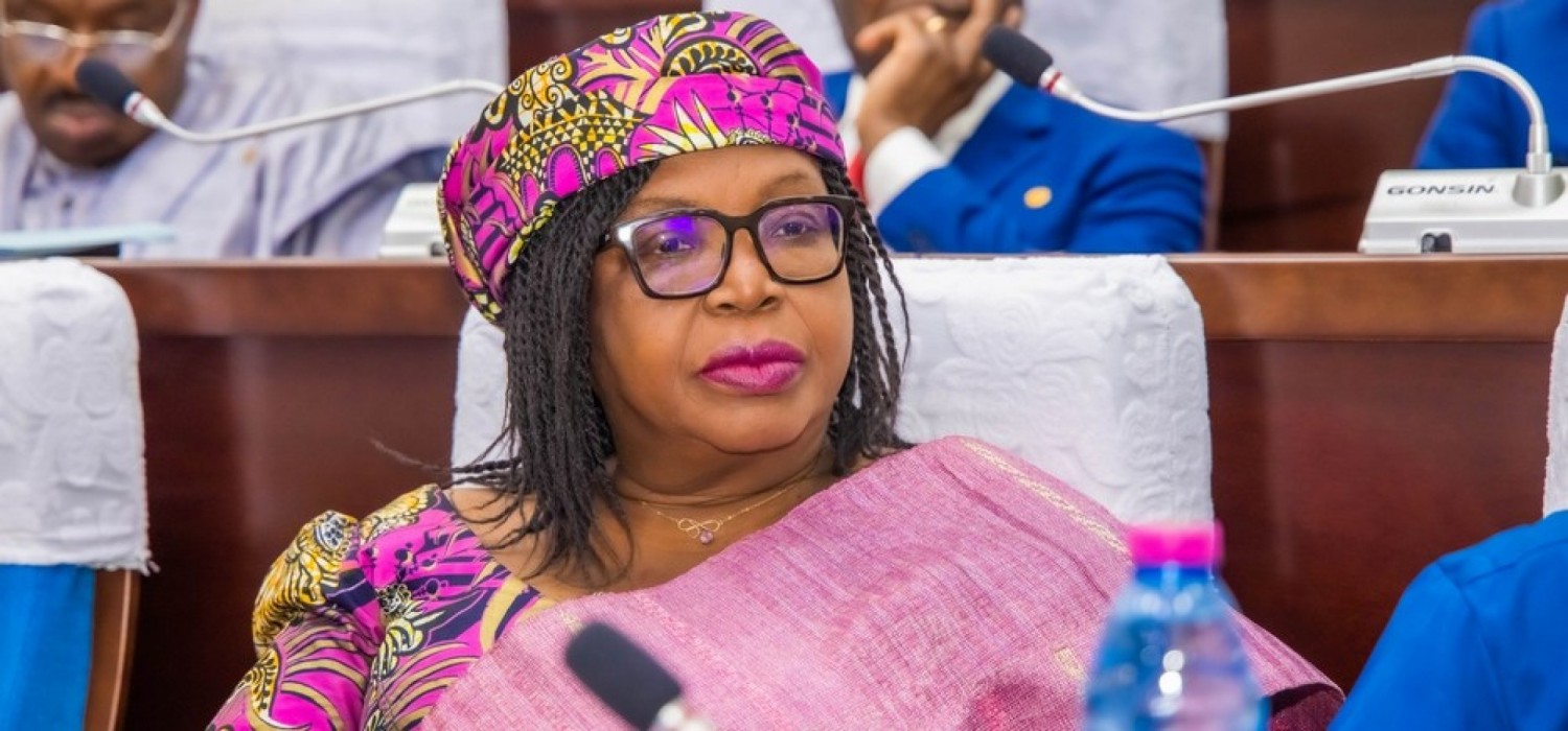 Togo :   Visite de la députée Adjamagbo-Johnson interrompue à Dapaong, réactions et appels