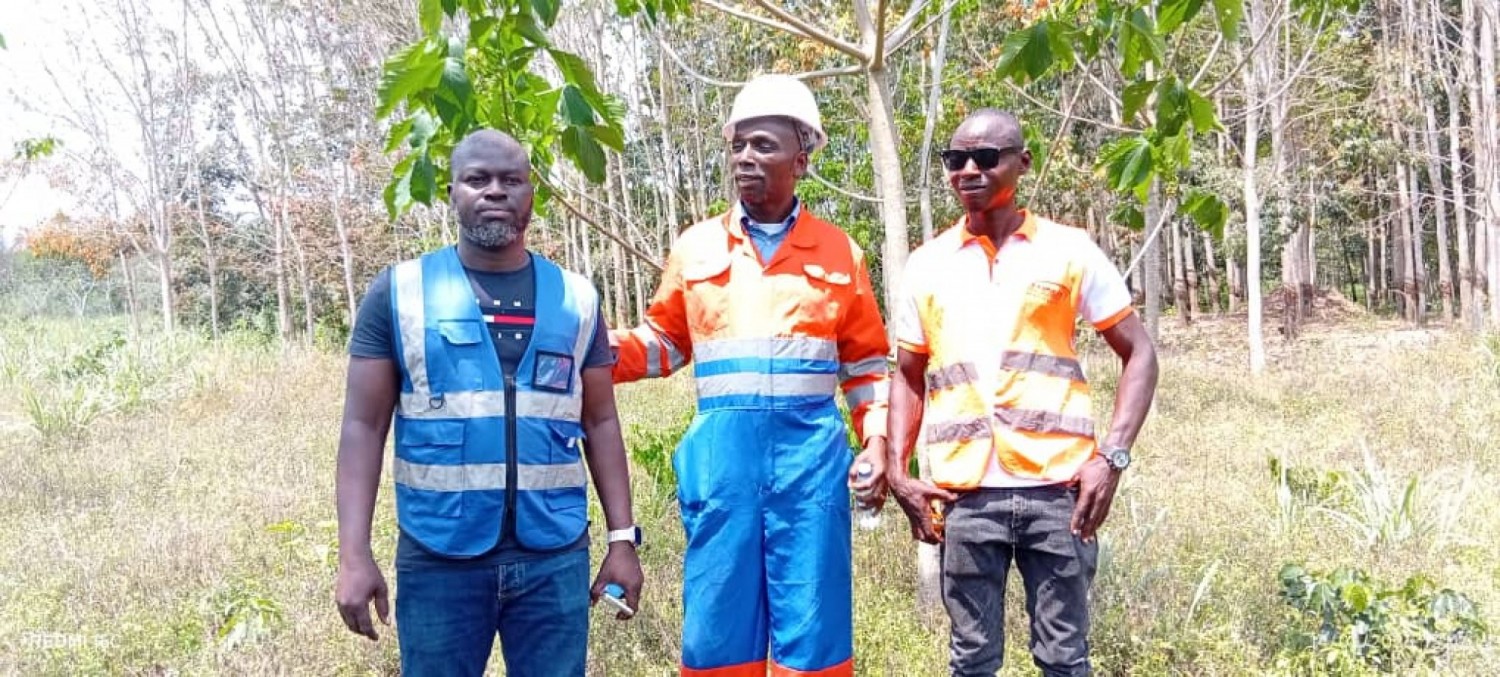 Côte d'Ivoire : Gagnoa, l'akpi, une production accélérée en moins de dix ans, une innovation prometteuse
